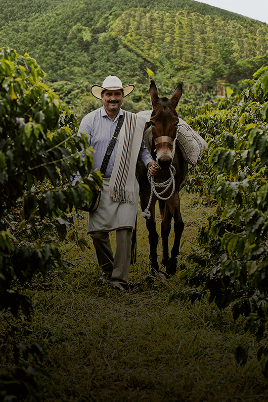 Más que café. El orgullo de una nación