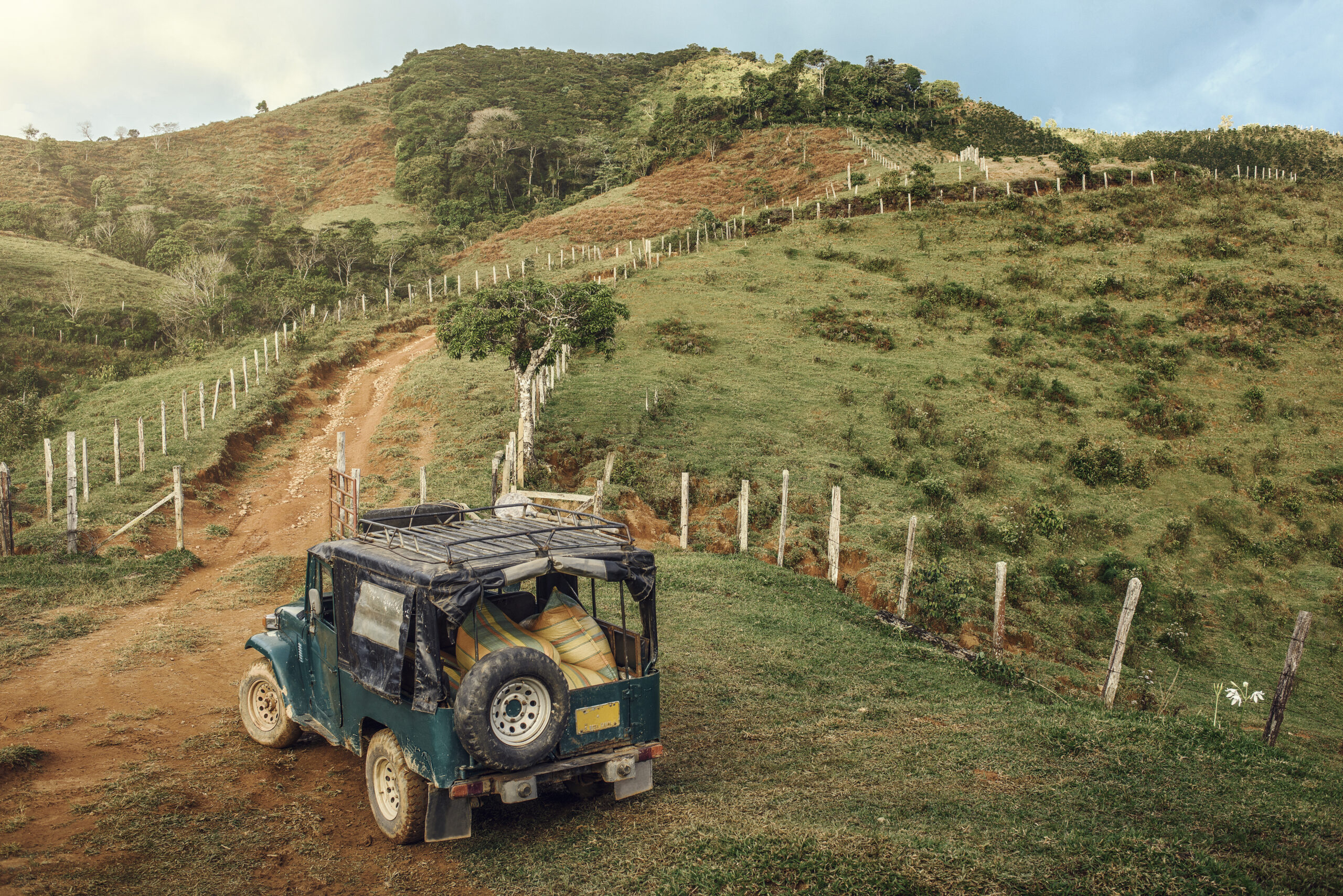 Colombian Spirit